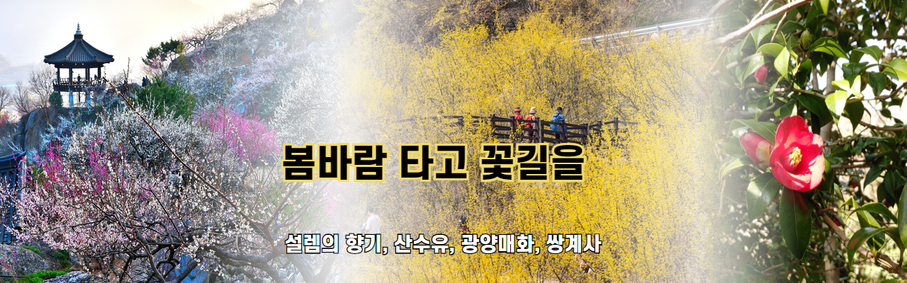 이미지슬라이드